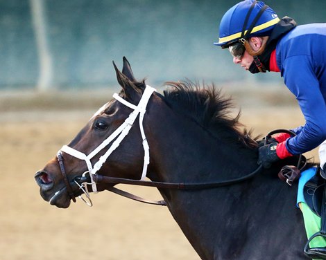 Heavenly Sunday wins the Mrs. Revere Stakes at Churchill Downs on November 24, 2023