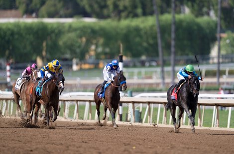 Goodnight Olive (Irad Ortiz jr) wins the Filly & Mare Sprint<br>
Santa Anita 4.11.23 : Edward Whitaker