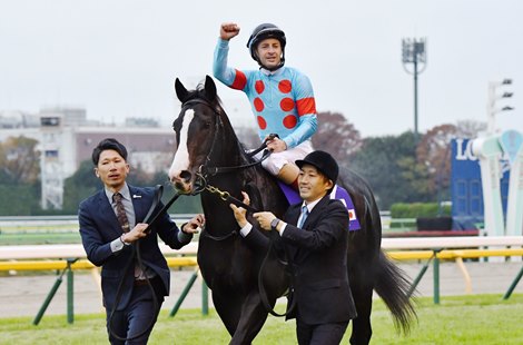 Equinox wins the Japan Cup on Sunday, November 26, 2023 at Tokyo Racecourse