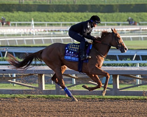 Wine Me Up preparing for the Breeders' Cup Juvenile At Santa Anita Park on November 2, 2023. Photo By: Chad B. Harmon
