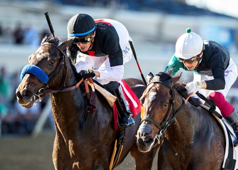 Nothing Like You and Juan Hernandez, left, outbattle Tambo and Antonio Fresu, right, to win the $100,000 Desi Arnaz Stakes Saturday, November 18, 2023 at Del Mar Thoroughbred Club, Del Mar, CA.<br>
Benoit Photo