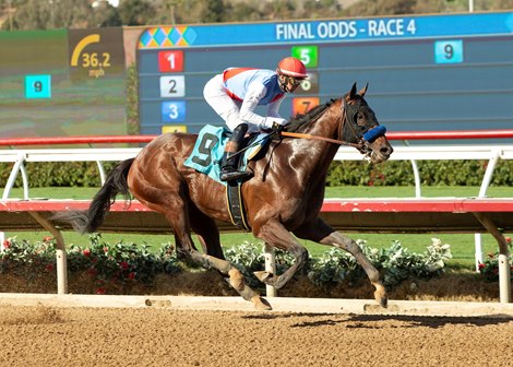 Coach Prime, Maiden Win, Del Mar, November 10 2023
