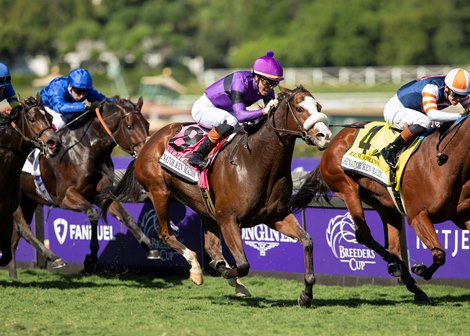 Wet My Beak and jockey Jose Ortiz win the $150,000 Senator Ken Maddy Friday, November 3, 2023 at Santa Anita Park, Arcadia, CA.<br><br />
Benoit Photo.