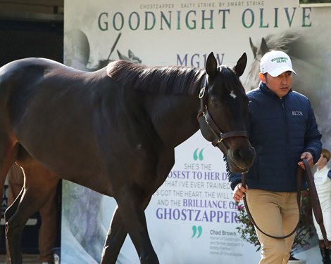 Hip 237, Goodnight Olive, at the ELiTE consignment at the Fasig-Tipton November Sale on November 6, 2023.