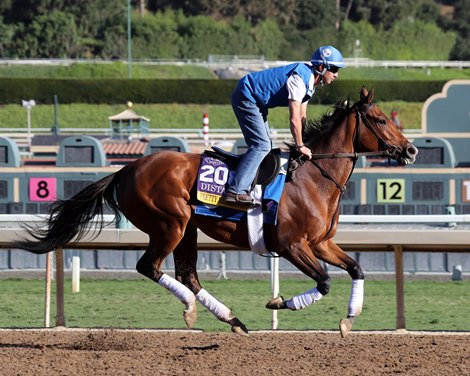 Pretty Mischievous preparing for the Breeders' Cup Distaff At Santa Anita Park on November 2, 2023. Photo By: Chad B. Harmon