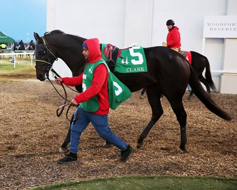 Trademark wins the Clark Stakes at Churchill Downs on November 24, 2023