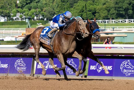 Breeders' Cup Winner Twilight Gleaming Heads Mamzelle - BloodHorse