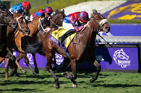 Big Evs with Tom Marquand wins the Juvenile Turf Sprint (G1T) at Santa Anita in Arcadia, CA on November 3, 2023.