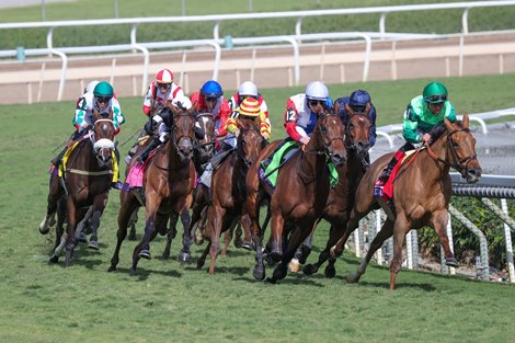 Inspiral with Lanfranco Dettori wins the Filly &amp; Mare Turf (G1T) at Santa Anita in Arcadia, CA on November 4, 2023.