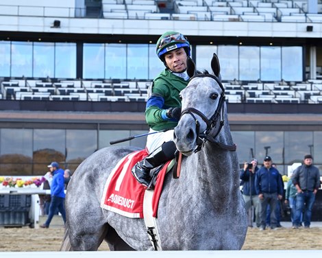 Implicated wins the 2023 Pebbles Stakes at Aqueduct