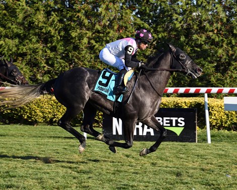 Spirit Prince - Central Park Stakes - AQU - 111923