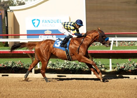 Pilot Commander - MSW - DMR - 111123