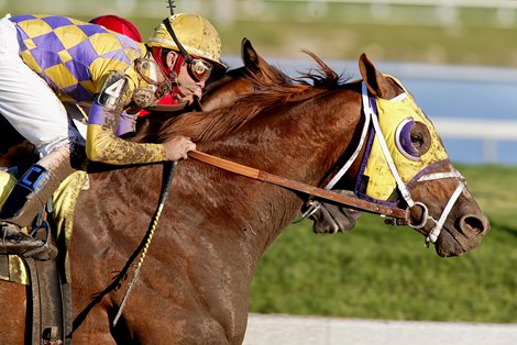 Eibar Coa, aboard Eddington, en route to victory in the Gulfstream Park Handicap.