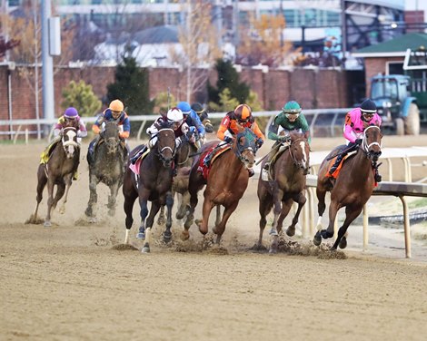 Complex wins the Golden Rod Stakes on Saturday, November 25, 2023 at Churchill Downs