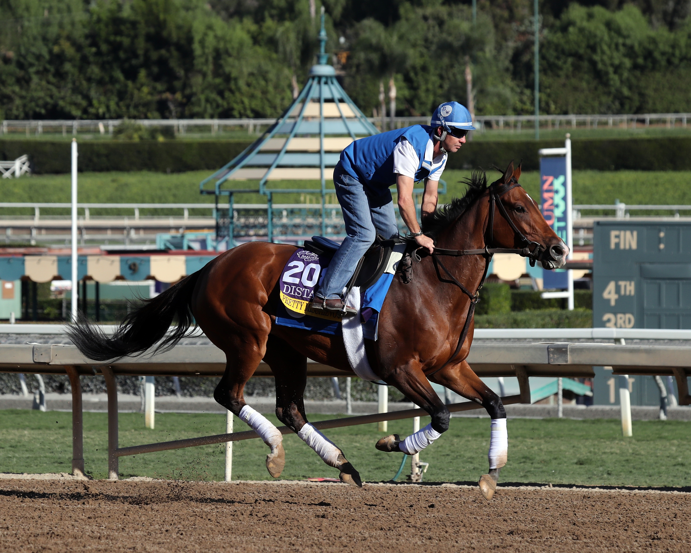 First World War Latest Stakes Horse For Trainer Walsh - BloodHorse