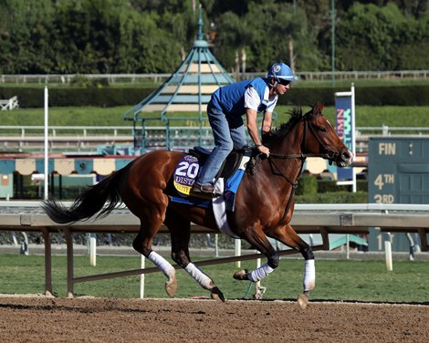 Pretty Mischievous preparing for the Breeders' Cup Distaff At Santa Anita Park on November 2, 2023. Photo By: Chad B. Harmon
