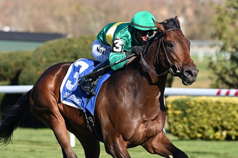Integration - Hill Prince Stakes - AQU - 111823