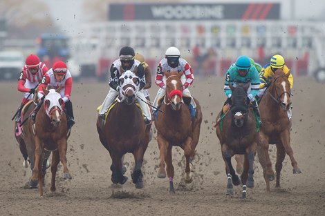 Thoroughbreds race into the 1st turn during the 3rd. Race on closing day of the 133 day thoroughbred race meet at Woodbine Racetrack. (L-R)#8, Very Debonaire Jockey Luis Contreras,#6Hardware Gap Jockey Austin Adams, #4JMR Speedy Escape Jockey Juan Crawford (black and white silks), #5 Mr. Marshall Jockey Shane Ellis, (rail yellow winner #2 Echo With Laughter Jockey Sofia Vives. Woodbine/ Michael Burns PhotoToronto ON.December 17, 2023.Woodbine Racetrack.Thoroughbreds race into the 1st turn during the 3rd race on closing day of the 133 day thoroughbred race meet.(L-R)#6Hardware Gap Jockey Austin Adams, #4Jmr Speedy Escape Jockeyt Juan Crawford, #5 Mr. Marshall Jockey Shane Ellis, (yellow silks #2 winner Echo With Laughter Jockey Sofia Vives).