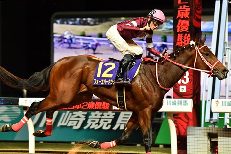 Forever Young wins the 2023 Zen-Nippon Nisai Yushun at Kawasaki Racecourse