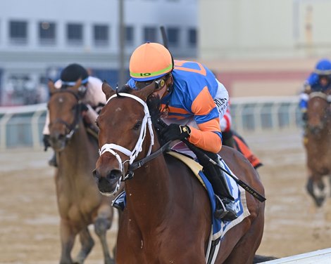 Life Talk wins the 2023 Demoiselle Stakes at Aqueduct