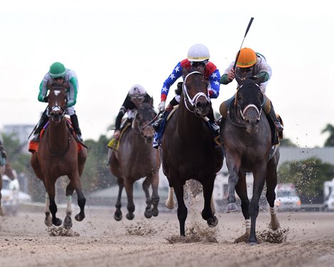 O'Connor wins the 2023 Harlan's Holiday Stakes at Gulfstream Park