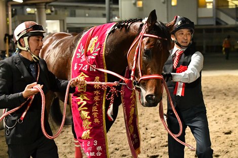Forever Young wins the 2023 Zen-Nippon Nisai Yushun at Kawasaki Racecourse