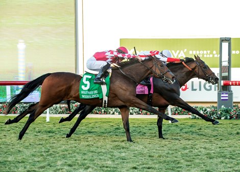 Klaravich Stables&#39; Program Trading and Flavien Prat, inside, outfinish Webslinger (Tyler Gaffalione) in the Grade I $300,000 Hollywood Derby Saturday, December 2, 2023 at Del Mar Thoroughbred Club, Del Mar, CA.<br><br />
&#169;Benoit Photo