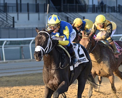 My Shea D Lady wins the New York Stallion Series Stakes on Saturday, December 16, 2023 at Aqueduct