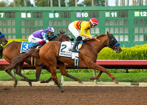 Wynstock and jockey Kyle Frey, outside, outleg Stronghold (Antonio Fresu), inside, to win the Grade II, $200,000 Los Alamitos Futurity, Saturday, December 16, 2023 at Los Alamitos Race Course, Cypress CA.<br>
© BENOIT PHOTO