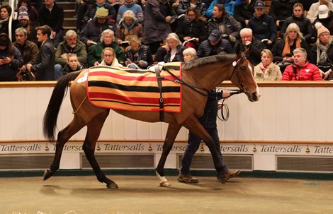 Lot 1788 Via Sistina (IRE) 2018 B.M.  BY Fastnet Rock (AUS) EX Nigh (IRE)         Grove Stud, Ireland    Evergreen Equine    2,700,000<br>
Tattersalls December Sale Mares Etc<br>
2023-12-05