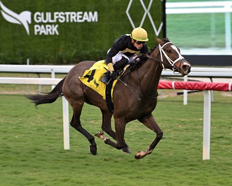 Full Count Felicia wins the 2023 Suwannee River Stakes at Gulfstream Park