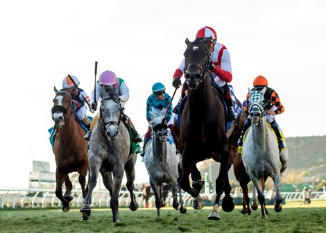 Klaravich Stables&#39; Surge Capacity and jockey Joel Rosario, front, win the Grade I $300,000 Matriarch Stakes Sunday, December 3, 2023 at Del Mar Thoroughbred Club, Del Mar, CA.Benoit Photo