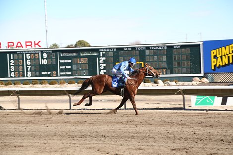 Fayette Warrior, STR, Fonner Park, February 19 2023  Winningest horse of 2023