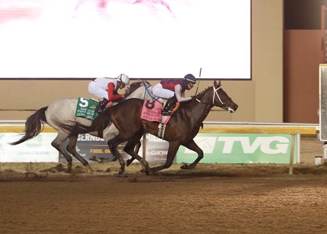 Otto the Conqueror wins the $300,000 Springboard Mile, the final stakes race of the Remington Park 2023 Thoroughbred Season on Dec. 13. Credit: Dustin Orona Photography/Remington Park