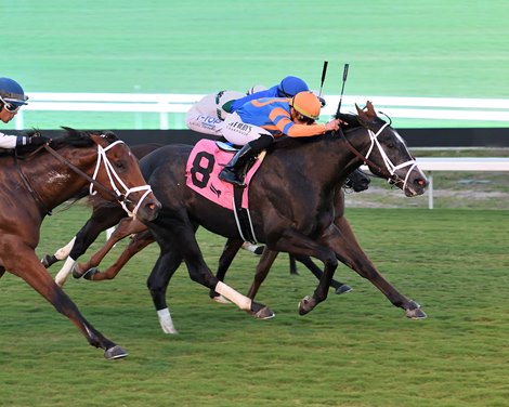 Noted wins the 2023 Pulpit Stakes at Gulfstream Park