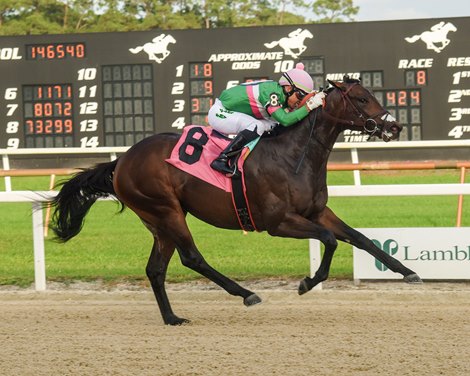 Patriot Spirit wins the 2023 Inaugural Stakes at Tampa Bay Downs