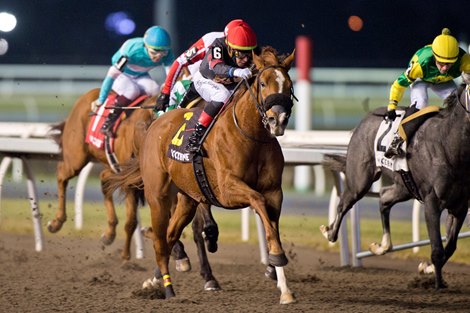 Shamans Girl wins the 2023 Shady Well Stakes at Woodbine