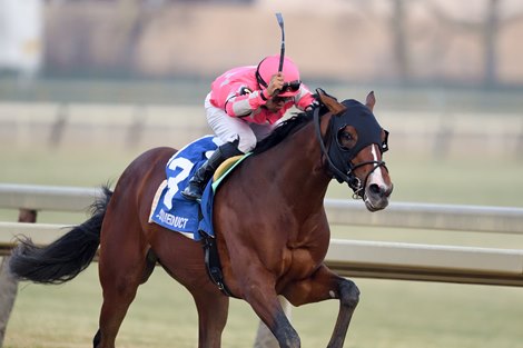 Dornoch wins the 2023 Remsen Stakes at Aqueduct