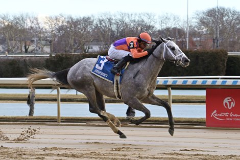 Tuscan Sky, Maiden Win, Aqueduct, January 13 2024