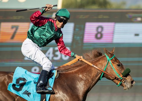 Grand Slam Smile and jockey Frank Alvarado win the $200,000 Leigh Ann Howard California Cup Oaks Saturday, January 13, 2024 at Santa Anita Park, Arcadia, CA.  The three-year-old daughter of Smiling Tiger is owned by Mr. and Mrs. Larry D. Williams and trained by Steven Specht.<br><br />
Benoit Photo