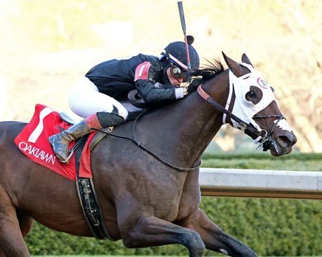 Midshipman's Dance wins the Mockingbird Stakes on Saturday, January 13, 2024 at Oaklawn Park