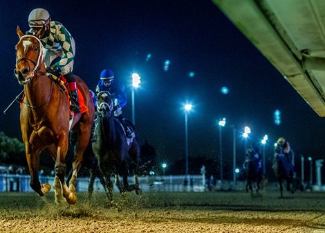 1/20/2024 - Track Phantom with Joel Rosario aboard wins the 80th running of the $200,000 Grade III Lecomte Stakes at Fair Grounds.  Hodges Photography / Amanda Hodges Weir