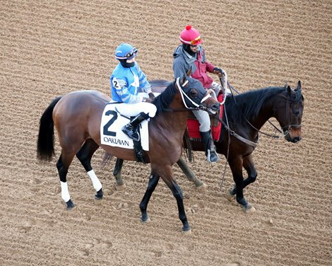 Catching Freedom wins the Smarty Jones Stakes on Monday, January 1, 2024 at Oaklawn Park