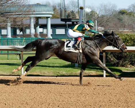 Common Defense - MSW - OP - 011324