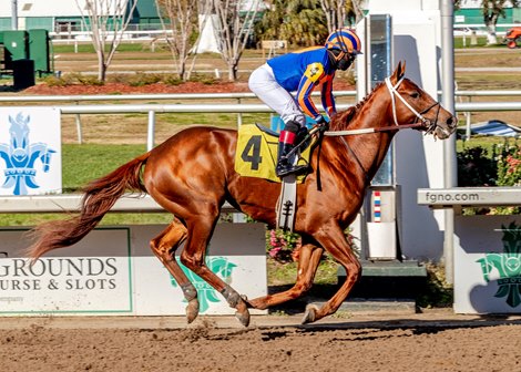 Hall of Fame, Maiden Win, Fair Grounds, January 20 2024