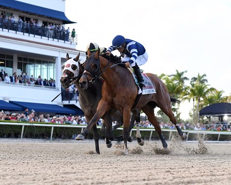 Tumbarumba wins the 2024 Fred W. Hooper Stakes at Gulfstream Park