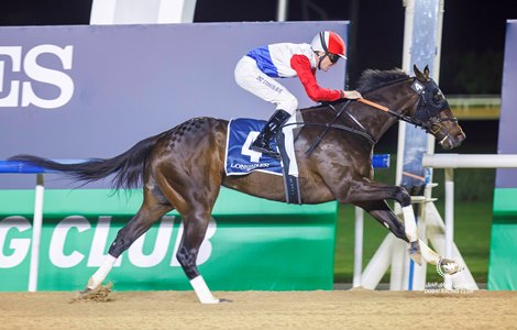 Mendelssohn Bay wins the 2024 UAE 2000 Guineas at Meydan Racecourse