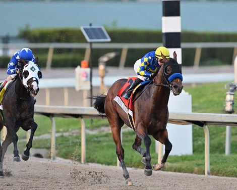 National Treasure wins the 2024 Pegasus World Cup Invitational Stakes at Gulfstream Park