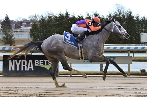 Tuscan Sky, Maiden Win, Aqueduct, January 13 2024