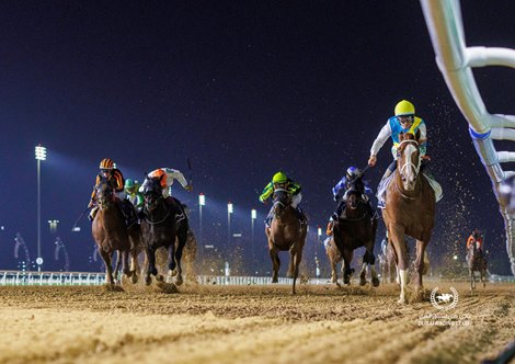 Kabirkhan wins the 2024 Al Maktoum Challenge at Meydan Racecourse